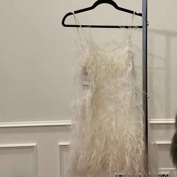 Cult Gaia Ivory Feathered Mini Dress - Picture 2 of 4
